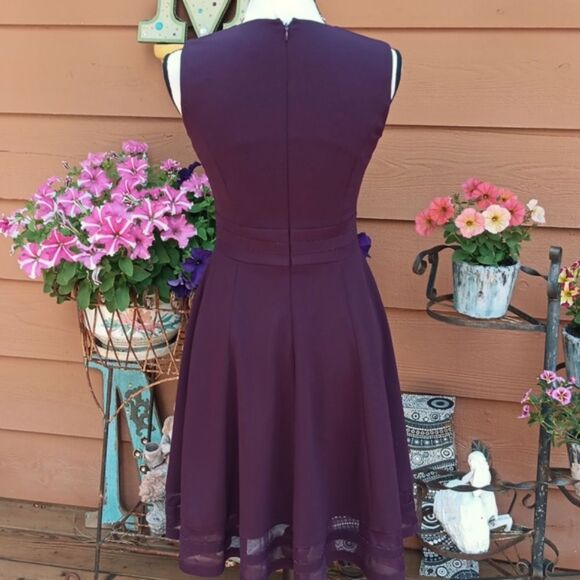 Calvin Klein Illusion Trim Fit and Flare Cabernet Sleeveless Dress - Picture 4 of 10